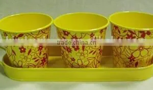 Outdoor Indoor Seed Planter and Pot thumbnail-1