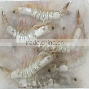 Frozen W/R Vannamei White Shrimp thumbnail-1