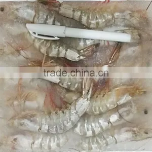 BQF Whole Round Vannamei White Shrimp thumbnail-3
