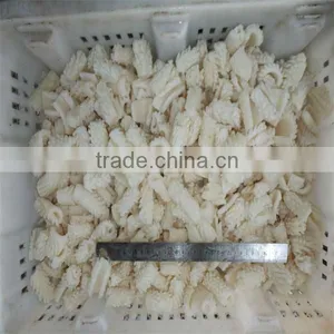 Best Season Iqf Cooking Frozen Squid Cut for Sale thumbnail-1