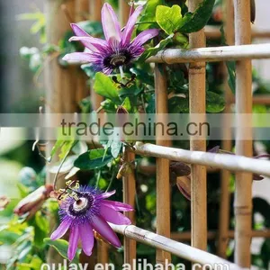 Folding Artificial Bamboo Trellis For Flowers Arrangement thumbnail-1