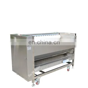 Factory Price Wholesale Cassava Ginger Yam Fruit Baby Carrot Peeler Sweet Potato Papaya Vegetable Peeling Washing Machine thumbnail-5