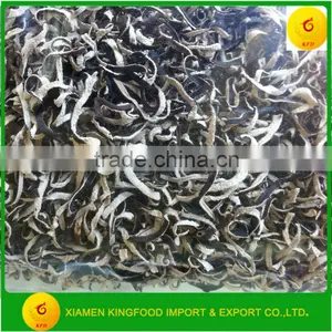 High Quality Black and White Fungus Strip Available thumbnail-1