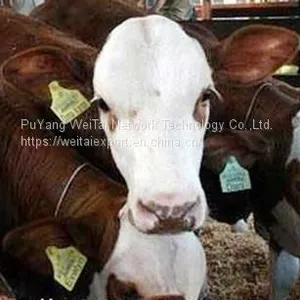 Factory Price 134.2khz RFID Smart Animal Ear Tags thumbnail-4
