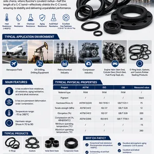 CH-F401C Fluororubber | High-Temperature Oil-Resistant FKM Seals | Aerospace & Petrochemical thumbnail-1