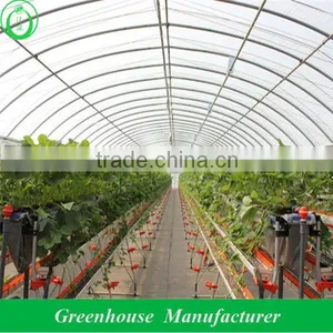 Vegetable Tunnel Greenhouse thumbnail-1