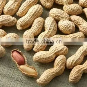Peanut in Shell thumbnail-1