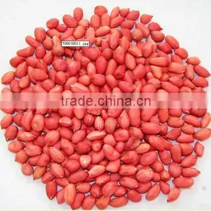 New Crop Chinese Roasted Peanuts In Shell thumbnail-6