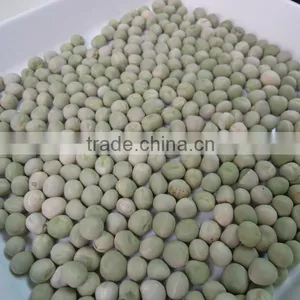 Green Peas Dried US Origin thumbnail-2