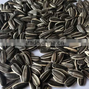 Companies Email Address for Seeds Sunflower, Sunflower Seeds From China thumbnail-1