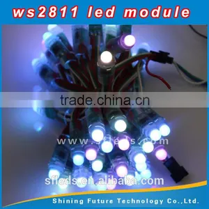 Input DC12V, Waterproof IP68 Ws2811 12v Pixel LED Pixel UCS1903 WS2801 12MM thumbnail-6