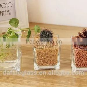 Square Hydroponic Succulent Plants Flowerpot Glass Vase thumbnail-2