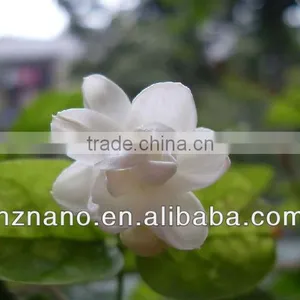 Textile Aromatic Microcapsule Finishing Agent thumbnail-1