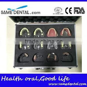Integrated Denture Model Teaching Demonstration thumbnail-1
