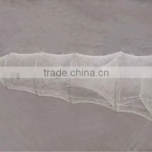Fish Trap thumbnail-1