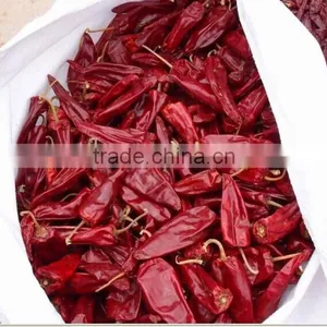 Yidu Chilli thumbnail-4