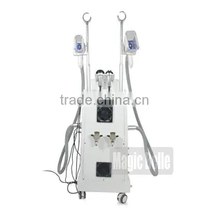 The Factory Price Slimming Beauty Equipment Fat Freezing Slimming Cryolipolysis Laser for Salon Use thumbnail-3
