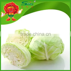 Brands Iceberg Cabbage Green Fresh Cabbage thumbnail-2