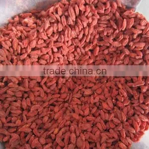 Dried Goji Berry thumbnail-1
