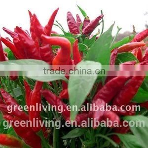 Mytest2012 Red-hot-dried-chilli/pepper (brand Name up to You/2014 thumbnail-1