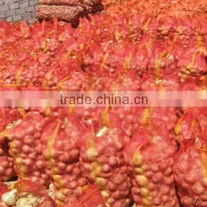 New Crop Normal White Onion Price thumbnail-4