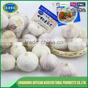 Fresh Solo Garlic thumbnail-2
