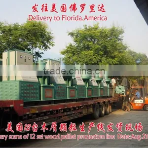 Flat Die Machine to Make Straw Briquettes thumbnail-6