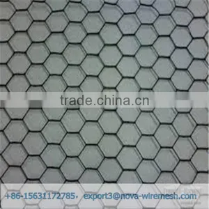 Low Cost Hexagonal Netting /chicken Wire Mesh/ Poultry Hexagonal Netting for Sale thumbnail-1