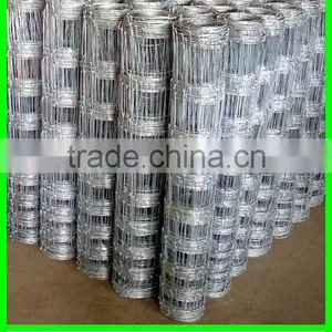 Livestock Metal Fencing for Cattle thumbnail-1