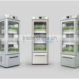 Modern Family Vegetable Growing thumbnail-2