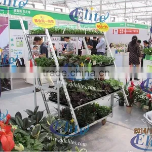 141 Steel for Display Flower Trolley,Steel for Pot Plant Trolley ,Steel for The CC Euro Trolley thumbnail-3