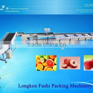 Automatic Peach Grading Machine thumbnail-1