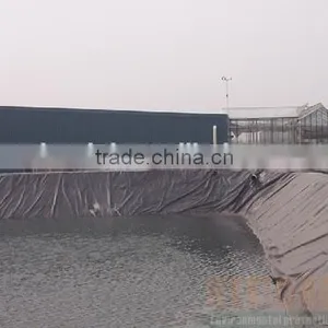 Waterproof Membrane PE Construction Film thumbnail-4