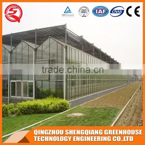 Agriculture Glass Greenhouse With Hot Dip Galvanized Frame for Sale thumbnail-4