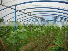 PE/EVA Agricultural Plastic Film thumbnail-1