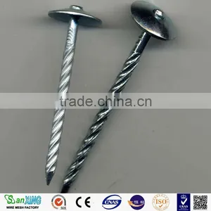 Q195 Umbrella Head Twist Shank Roofing Nails thumbnail-3