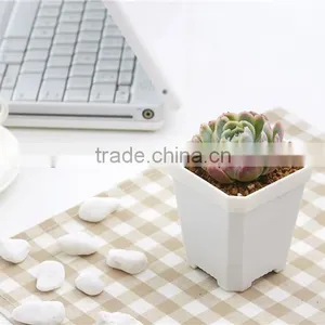 More Thickness Plastic Starting Seeding Flower Pot thumbnail-3