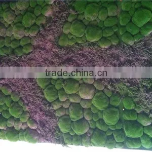 Home Garden China Decoration 100cmx200cm Black Mat Artificial Plant Holland Moss Carpet EZMD03 0209 thumbnail-3