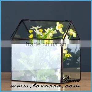 Succulent Plants Cheap Glass Hanging Terrarium Stand Vase for Flower thumbnail-6