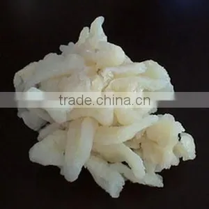 Jellyfish Leg India thumbnail-1