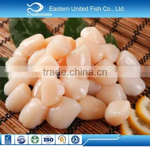 Low Moisture Small Size Frozen Sea Scallop Adductor Meat thumbnail-1