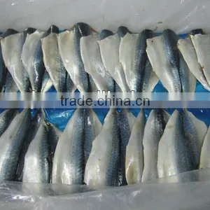 Frozen Fish Mackerel Fillet thumbnail-1