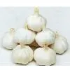 Normal White Garlic thumbnail-1
