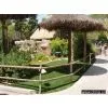 Artificial Grass for Landscaping thumbnail-1