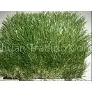 Outdoor Sports Quality Artificial Lawn Grass for Landscape / Gardens thumbnail-1