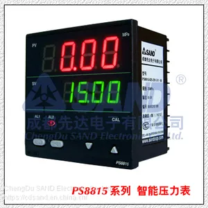 PS4812/PS4812TProgrammable Intelligent Pressure Indicator thumbnail-2