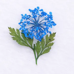 Daisy Camellia Dry Flower Dried Flower Acrylic Nails For Diy Nails Design thumbnail-1