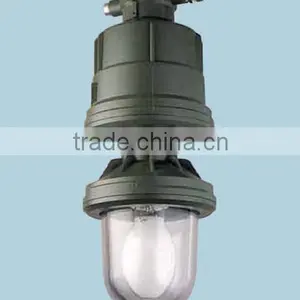 Explosion Proof Highbay Lighting (Zone 1) - ITALY thumbnail-1