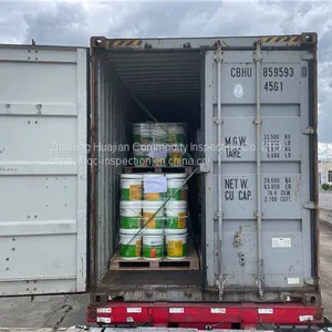 Container Loading Supervision Inspections Inspection Services thumbnail-1