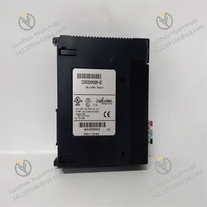 IC693DNM200 Digital Module thumbnail-3